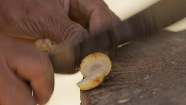 Close-up, farmer hands slicing fresh betel nut for drying, areca nut harvest