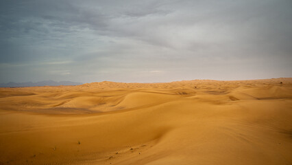 Desert  Landscape