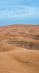 Desert  Landscape