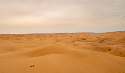 Desert  Landscape