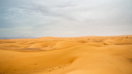 Desert  Landscape