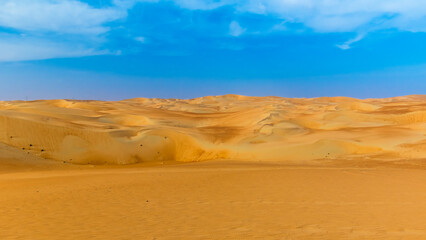 Desert  Landscape