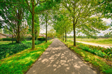 A country road in a pastoral landscape in The Netherlands.