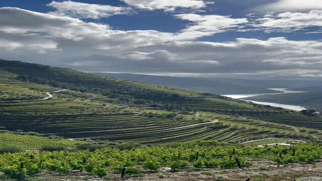 Vall&eacute;e du Douro Portugal