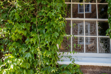 The beautiful old town of Rye