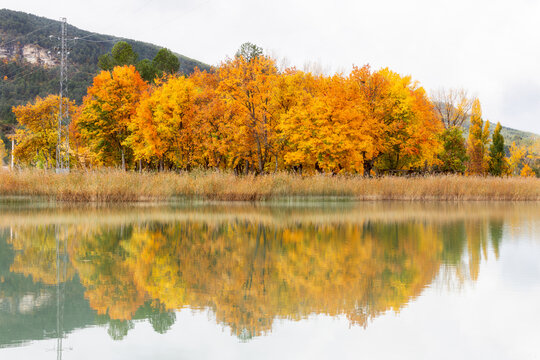 Autumn colors at U&Atilde;&plusmn;a Lagoon in Cuenca