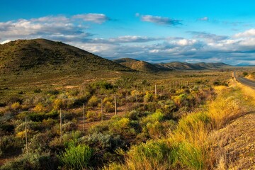 Rounded foothills beneath the Swartberg range, in the late afternoon light, run alongside the main...