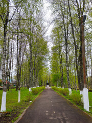 Fototapeta premium Green spring alley leads to the Monument to Tutaev soldiers in Tutaev