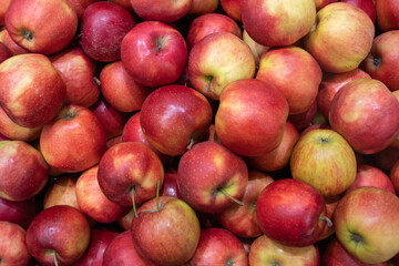 A box full of red ripe apples, close-up, top view. Pattern of juicy delicious apples. Natural food, diet food