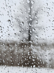 rain drops on window