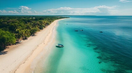 Fototapeta premium Scenic Tropical Beach with Clear Waters and Lush Palm Trees.