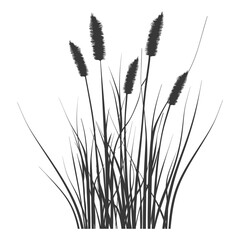 Silhouette black water reed plan cattails leaf black color only