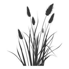 Silhouette black water reed plan cattails leaf black color only