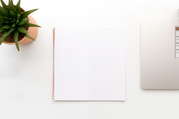 Top view on white office desktop with empty card for text, supplies and plants on the table. Workplace for happy work freelance.