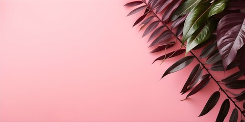 Minimalist summer tropical leaves portrait with pink background and room for text. Concept Minimalist, Summer, Tropical Leaves, Pink Background, Text Space