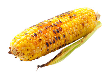 single grilled corn on a transparent background