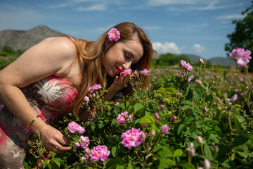 Young and beautiful woman smelling pink roses in a rose field. Famous Isparta rose.