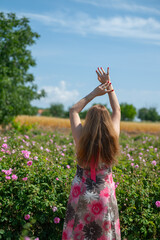 Blonde woman with her hands in the air in a rose field.  Famous Isparta rose.