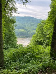 Overlook - New River Gorge - Summers County, WV