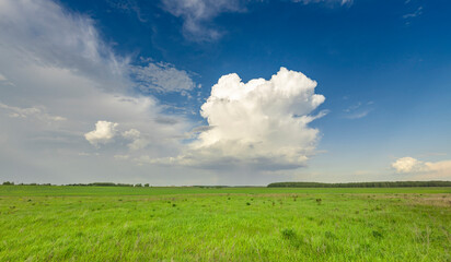 A vast expanse of green fields stretches out beneath a lone fluffy cloud in the spring sky,...