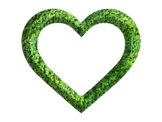 love symbol made from green grass isolated on transparent background