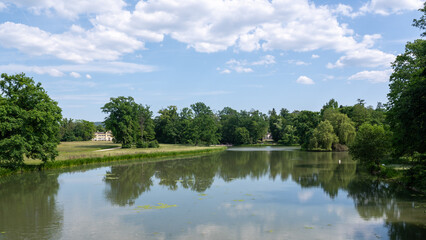 Fototapeta premium A lake in a park