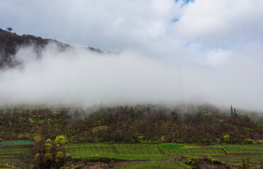 Clouds touching the Vineyards of St Magdalena, in the slopes above the city of Bolzano, South Tirol, Italy.