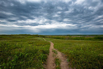 Spring day at Cranberry Flats Conservation Area