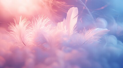  A tight shot of a multitude of feathers against a backdrop of blue and pink The image behind is softly blurred, revealing the feather stems and their reverse side