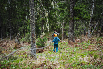Fototapeta premium A hiker is exploring a natural landscape, surrounded by trees, plants, and grass. They carry a backpack as they walk through the forest, enjoying the scenic views of the woodland terrain