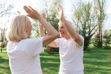 elderly couple of seniors man and woman high-five and rejoice at success in the park outdoors, gray-haired grandparents celebrate victory and play sports in nature