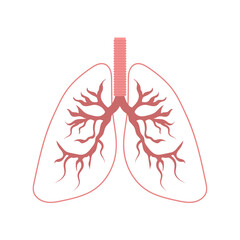 Healthy lungs