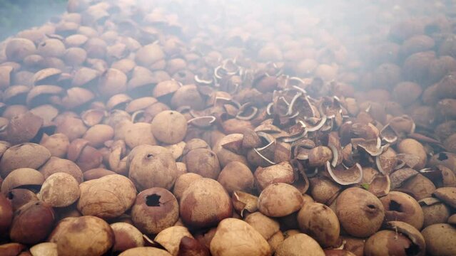 Dolly, traditional method of smoke drying coconut kernels in oil production, copra