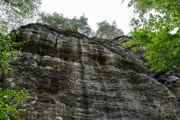 A rocky cliff with trees growing on it. The image has a mood of serenity and calmness