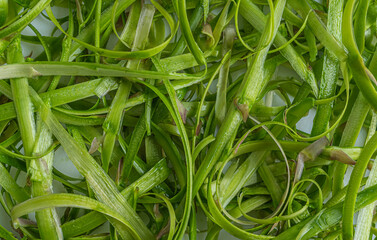 skin from green shoots of asparagus on a white background