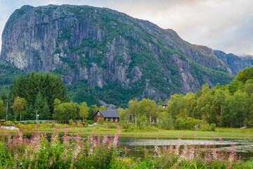 Fototapeta premium Landscape at the south of Norway (near Stavanger)