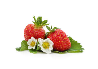 Ripe strawberries with leaves and flowers.