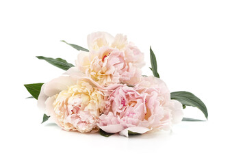White peonies bouquet.