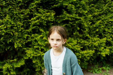 A little beautiful stands against the background of a green hedge.