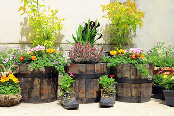 summer flowers in different containers displayed in a home courtyard