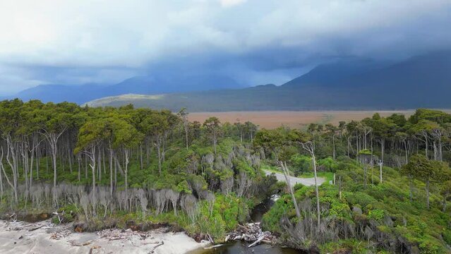 Beautiful Bruce Bay, South Island, New Zealand