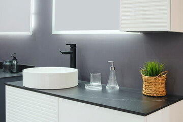 Fototapeta premium A bathroom sink with a white basin and a black faucet. A small potted plant sits on the counter next to the sink