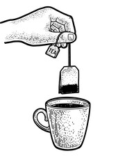 hand brews tea bag in cup sketch engraving PNG illustration. T-shirt apparel print design. Scratch board imitation. Black and white hand drawn image.
