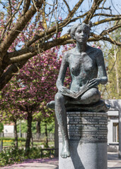 Cherry blossom, Ljubljana