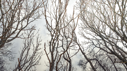 Winter in Ödåkra 2024.