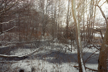 Winter in Ödåkra 2024.