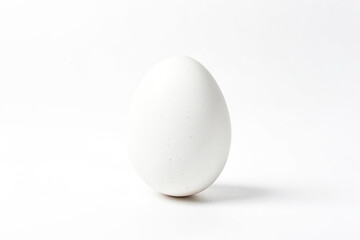 Single White Egg on White Background