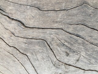 Weathered wood texture, gray driftwood surface, natural wood grain patterns, close-up of aged timber, organic curves and lines, rough textured background