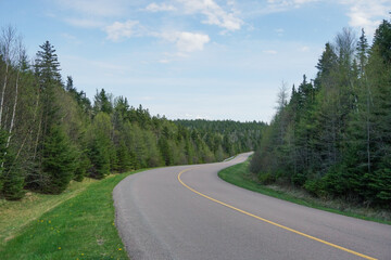 Country road in spring