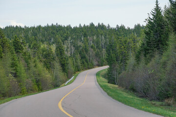Fototapeta premium Country road in spring